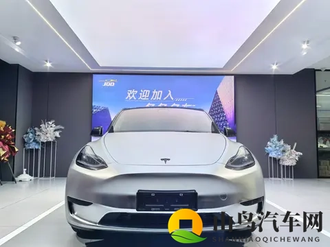 15万多拿下特斯拉Model Y,圆你电车梦?-1