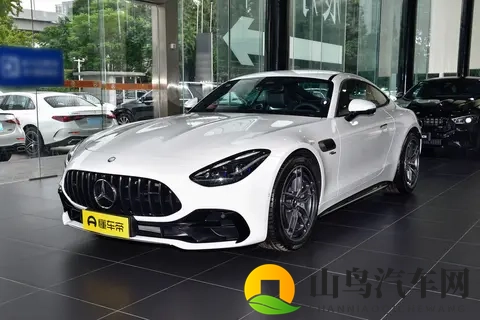 奔驰AMG-GT这一年:销量跌进冰窟窿 动力玩起猫腻戏-1
