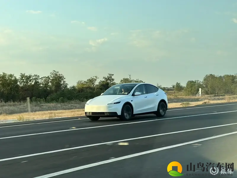 曝“廉价版”Model Y和3明年国产,价格不到20万-1