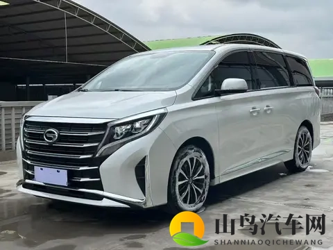 准新一手传祺M8:23款390T豪华版,142万宜商宜家!-2