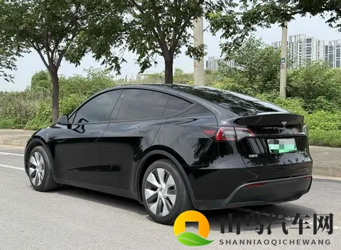 二手特斯拉Model Y购买指南：性价比，风险，未来？-2