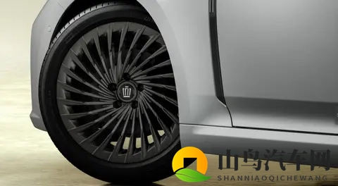 皇冠两个版本差价能买台宏光MINI EV，这道选择怎么解？-2