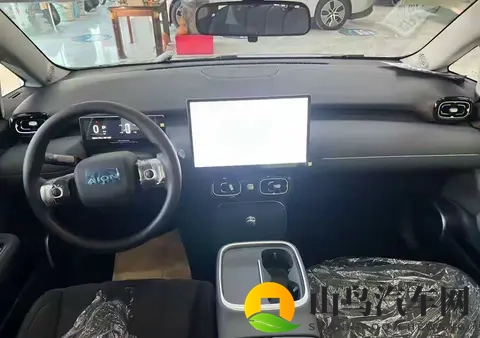 没有造车资质，京东贴牌，“跨界联姻”的京东国民好车-1