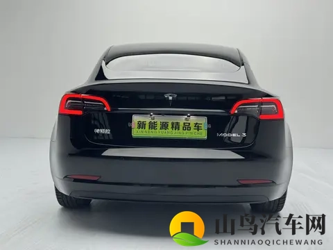 10万多拿下特斯拉Model3，体验56秒加速的快感-2