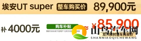 租电价499万元，京东“国民好车”到底值不值？-2