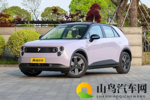 蔚来萤火虫新车型亮相：高功率电机升级，续航420公里-1