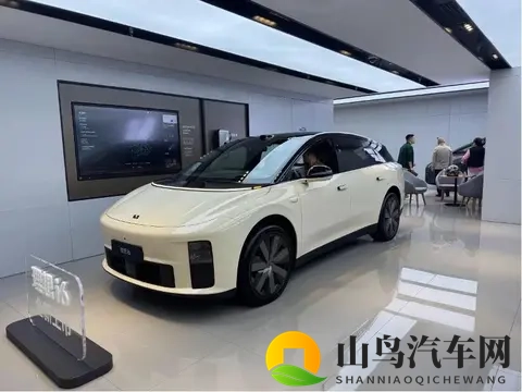 电厂  购置税变天之前，汽车公司“撒钱买量”-2