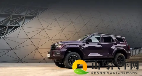 新款坦克400上市，2498万起售，四种动力可选！-1