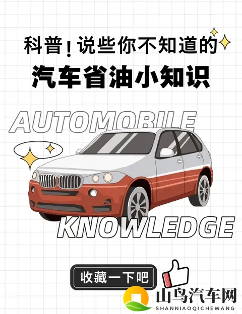 黄片,软件：成人内容,视频应用-3