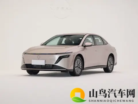 纯电续航180公里，轴距超2米8，日产N6预售价1069万起-3