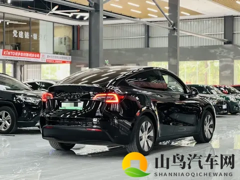 17万不到拿下特斯拉Model Y，体验未来科技出行！-2