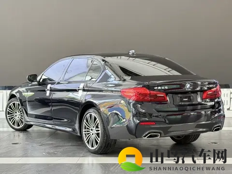 20万拿下宝马5系？2019款530Li，一手车况香不香？-2