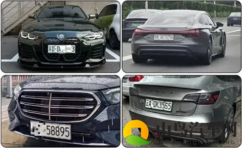 新能源绿牌用“UV灯”照射后能变白牌 网友：帅 但蜀黍不认-2