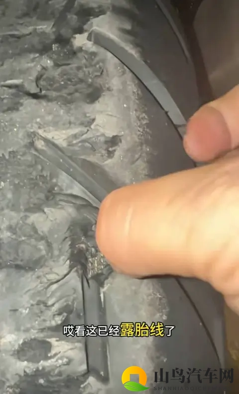 某牌轮胎：原地肝碎你的拉力梦-3