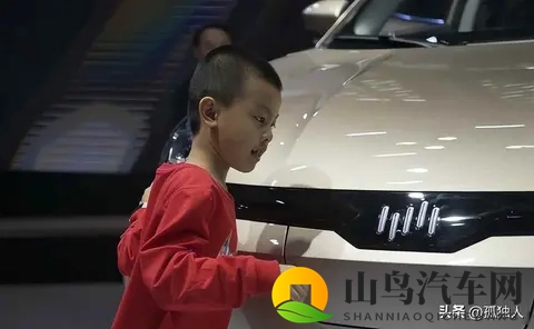 沈晖跑了，工厂停了，车没人修了-3