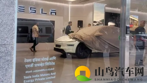 10月印度电动车销量，MG名爵 4,525辆，比亚迪565辆，特斯拉40辆-1