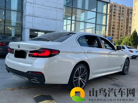 22年宝马530Li：6万公里，白色M套件，圆你蓝天白云梦？-2