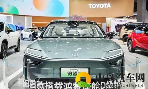 从进博会看丰田如何绘制蓝图不变的底色和多彩的变革-3