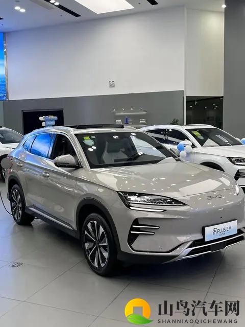 年度销量TOP10出炉，7款新能源霸榜，燃油车仅剩3席，时代真的变-2