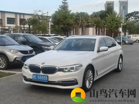 十年宝马五系，10万公里，18万不到，商务代步性价比之选-1