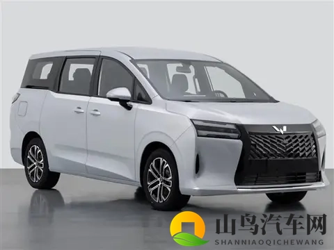 燃油车真要成过去式？中国10月数据给出颠覆性答案-3