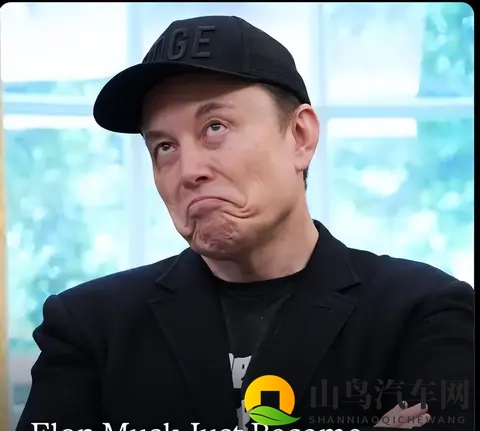 特斯拉蒸发3800亿:暴跌背后,藏着3个被忽视的真相-1