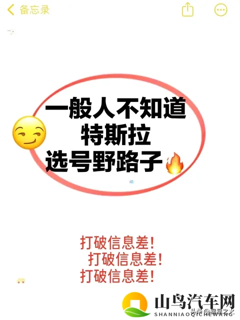 很好用‼️特斯拉选号野路子💯-1