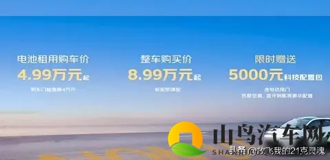 京东“国民好车”上市，此前7819万元天价竞拍者已悔拍-1