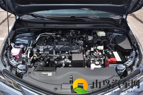 6P群体交乱：汽车市场新现象：多元消费群体交织背后的秘密-2