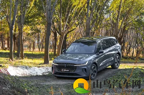 外网十三岁紫色面具：网络热议：神秘十三岁少年戴紫面具现身-3