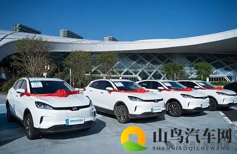 买倒闭车企车型是“残值狂欢”还是“踩坑被收割”-3