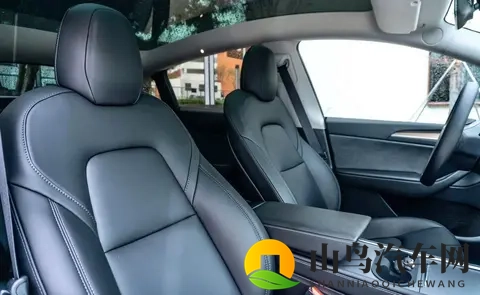 特斯拉Model Y821公里续航,2885万值不值?四大版本终极选购指南-2