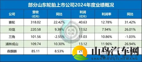 山东全省轮胎行业全景-3