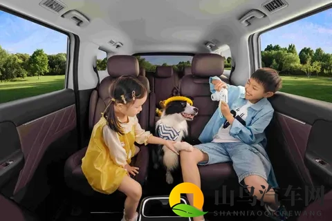 菜农拉货，宝妈带娃，年轻人创业，五菱MPV装下了800万人的生活-2