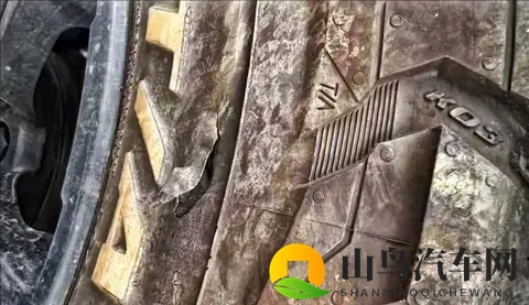 亭亭玉立国色天香综合症图片：现代美学魅力：探寻独特汽车风采-3