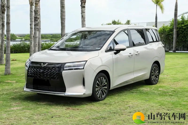 星光730预售7.68万起，可选插混_纯电_燃油动力-1