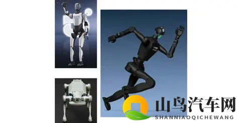 汽车Tier1的下一个十年，赌在机器人？-3