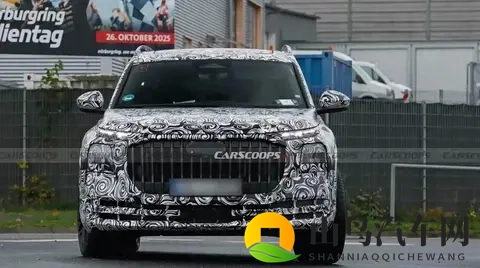 奥迪Q9霍希版要来了，大家却摸不着头脑-2