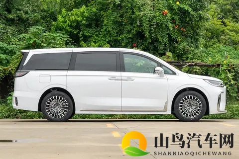 26款岚图梦想家PHEV：全能选手，没有短板，哪哪都挺好-1