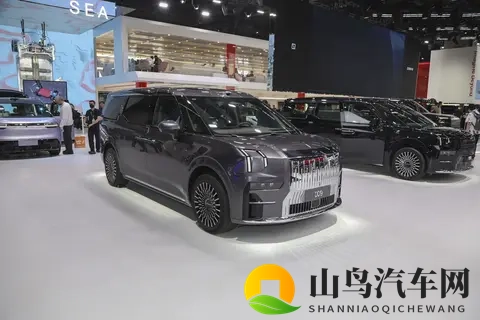 极氪009：明星家庭热衷，11月有这些优惠，值得买吗？-3