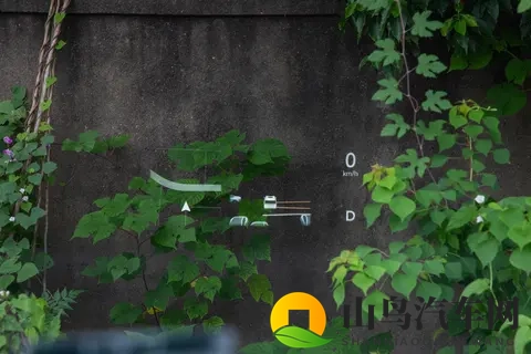 顶配4299万！26款岚图梦想家  540度全景影像标配，魔毯空悬是亮点-1