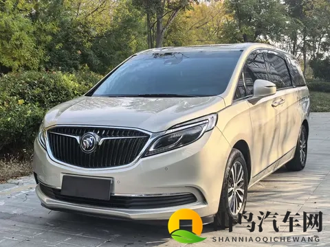 宜商宜家好选择，19年别克GL8，12万多带走-2