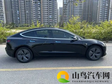 10万出头，圆你特斯拉梦！20款Model3代步优选-2
