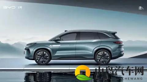 新时代观察｜60天倒计时，车企年度销量目标大考：比亚迪稳了-2