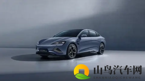 中国浓毛大泬特写：国产汽车新宠：独特设计，智能科技，引领潮流-2