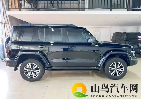 16万多拿下硬派越野！22年坦克300，圆你一个越野梦-2