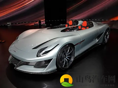 方程豹要推“镁”车？命名藏玄机，市场能接住吗？-2