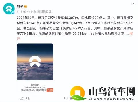 10月车企销量  黑马零跑破7万，巨头比亚迪狂揽44万-1