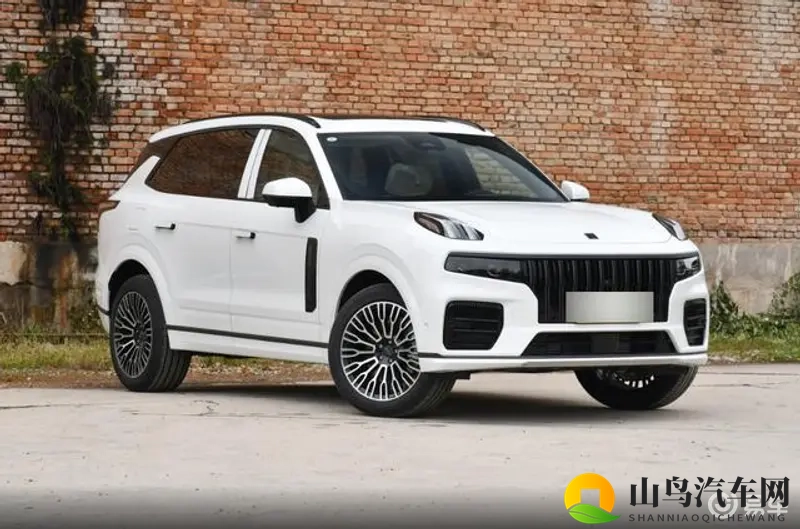 丝瓜草莓视频:特斯拉Model Y:性能爆表,时尚新贵-1