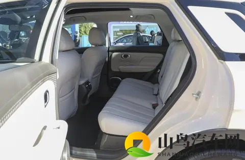 欧美寡妇XXXX黑人猛交游戏：汽车革新潮：环保、智能、舒适新纪元-2